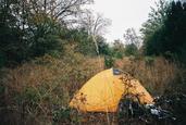 Tent Underbrush